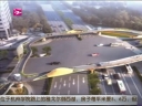 杭州首座仿树形天桥露真容