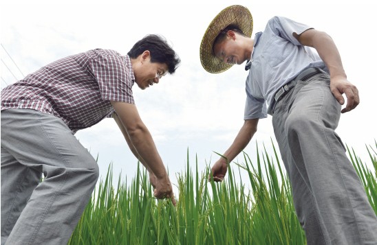 治虫防病保丰收